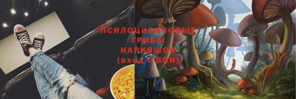 крисы Волоколамск