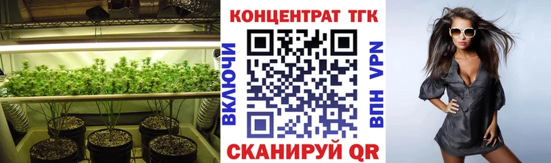 OMG Енисейск Дистиллят ТГК гашишное масло